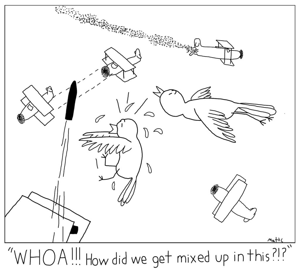 Birds in Dog Fight