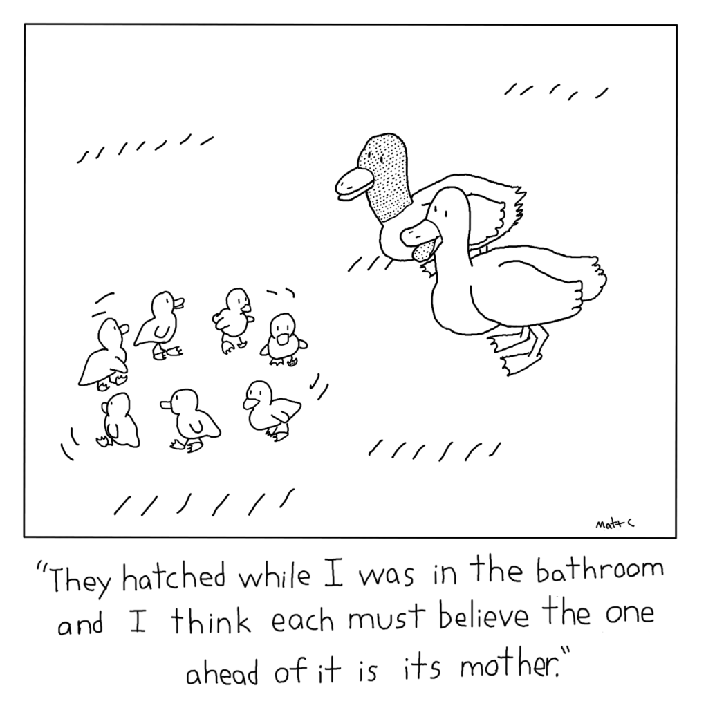 Circling Ducklings