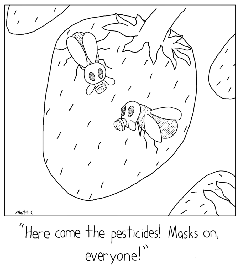 Fly Gas Masks