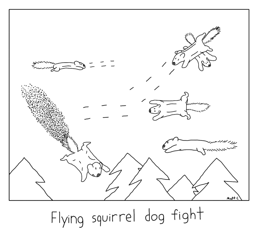 Flying Squirrel Dog Fight