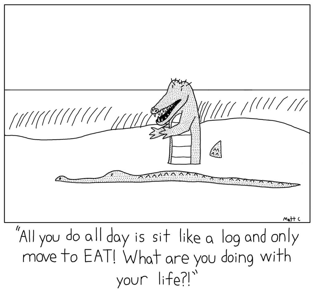 Lazy Crocodile Nag