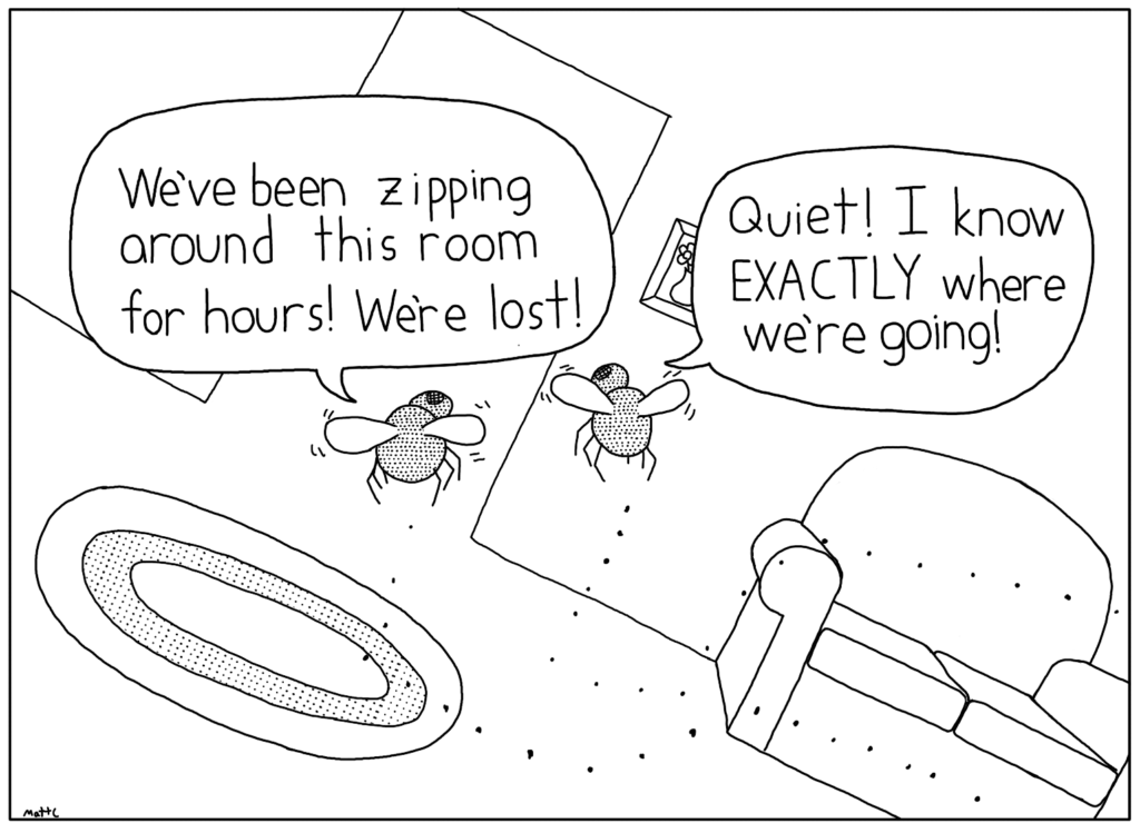 Lost Fly Couple