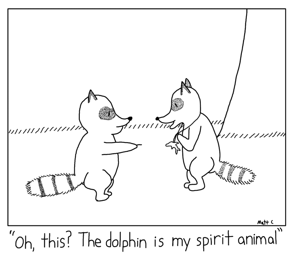 Raccoon Spirit Animal