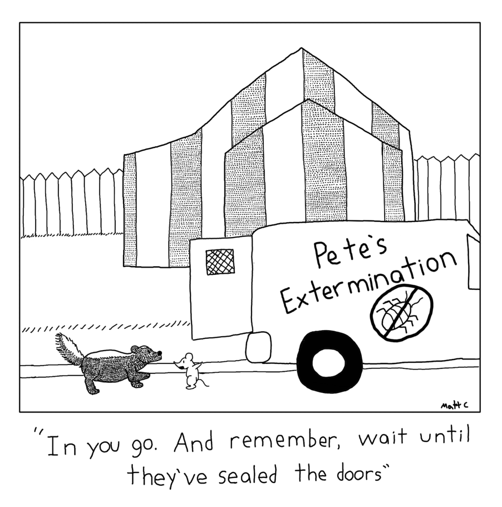 Skunk in Exterminator Van